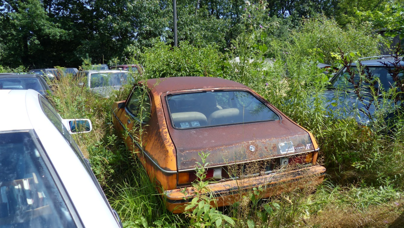 Illustration for article titled A Michigan Town Is Forcing This Man To Sell 20 Old Cars Off His Property Every Month